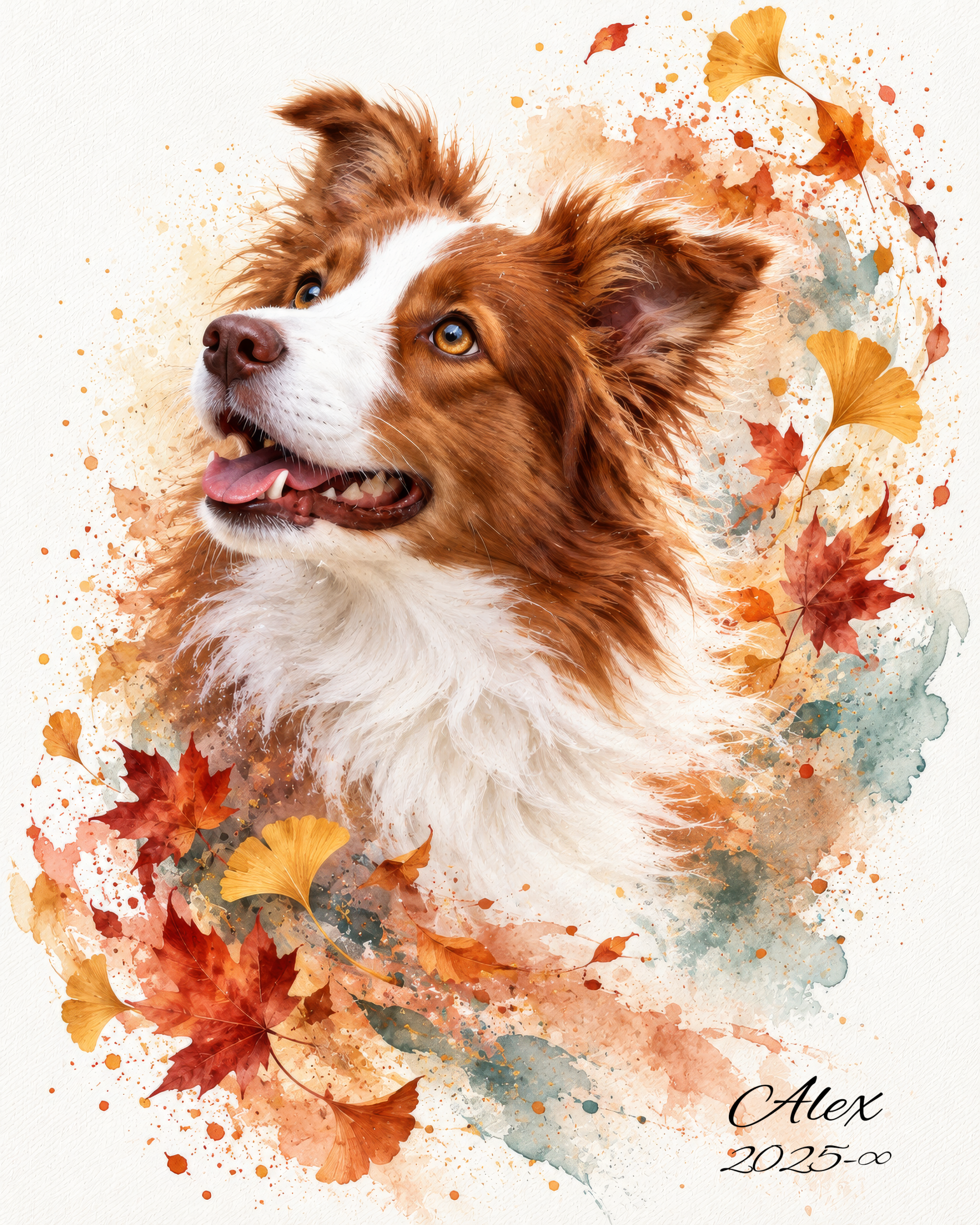 Watercolour-style Border Collie keepsake portrait framed by autumn leaves